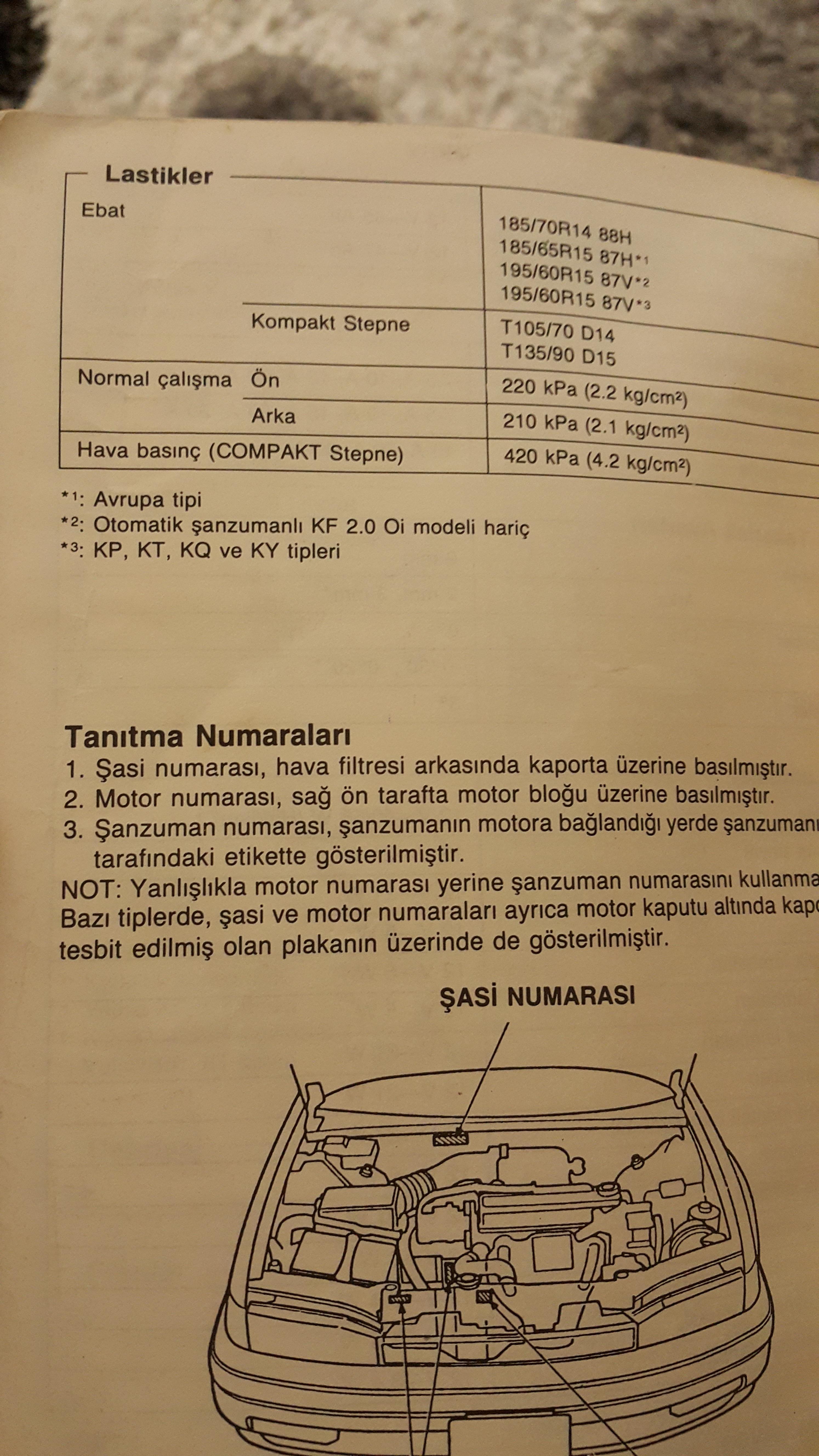 Yunanistanın iyi plajları. Yunanistanda tatiller. Yunanistan plajları için çocuklar 40