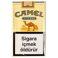 camel