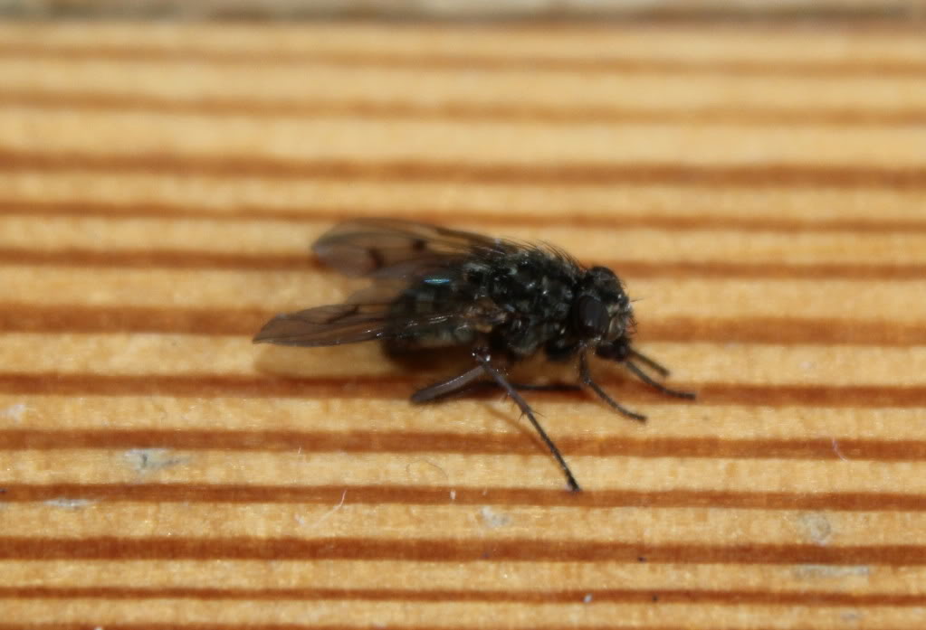  Canon EOS 600D KULLANICILARI KULÜBÜ