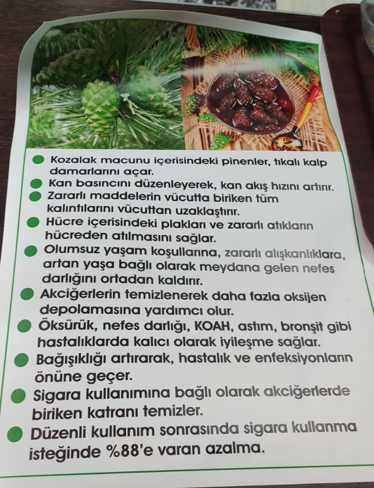 Pestil ve Köme Tatlı Çeşitlerimiz altinbag.com.tr