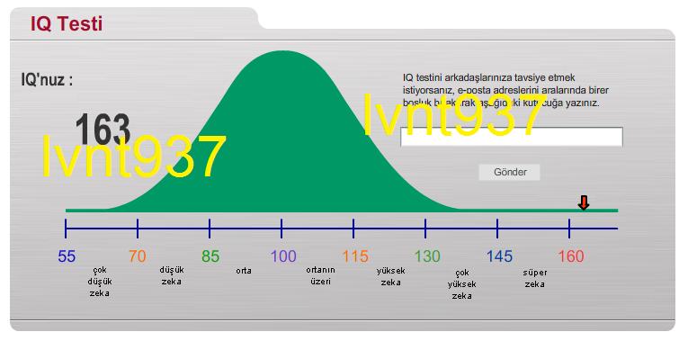  IQ Testi