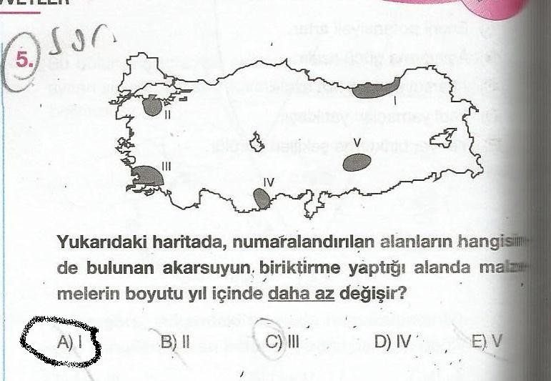  Coğrafya dış kuvvetler soruları