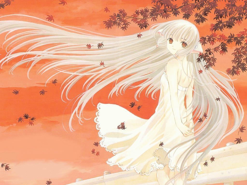  Anime Wallpapers..