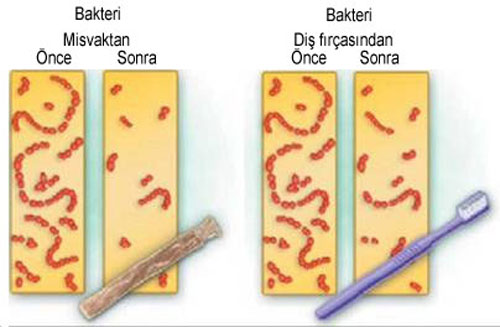  Dişteki sigara lekesi nasıl çıkar?