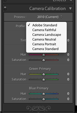  Lightroom matlaştırma sorunu