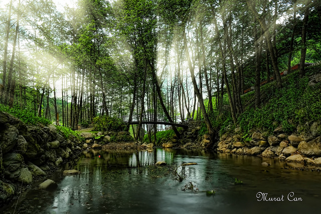  SAMSUNG NX SERİSİ ANA BAŞLIK