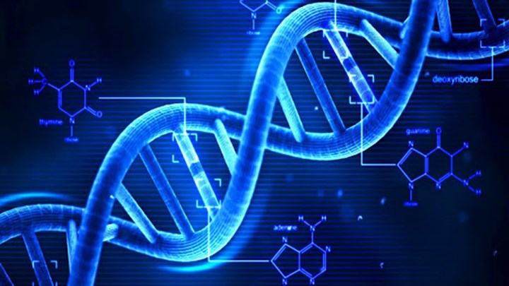 mRNA aşıları DNA'mızda bir değişime sebep olur mu?