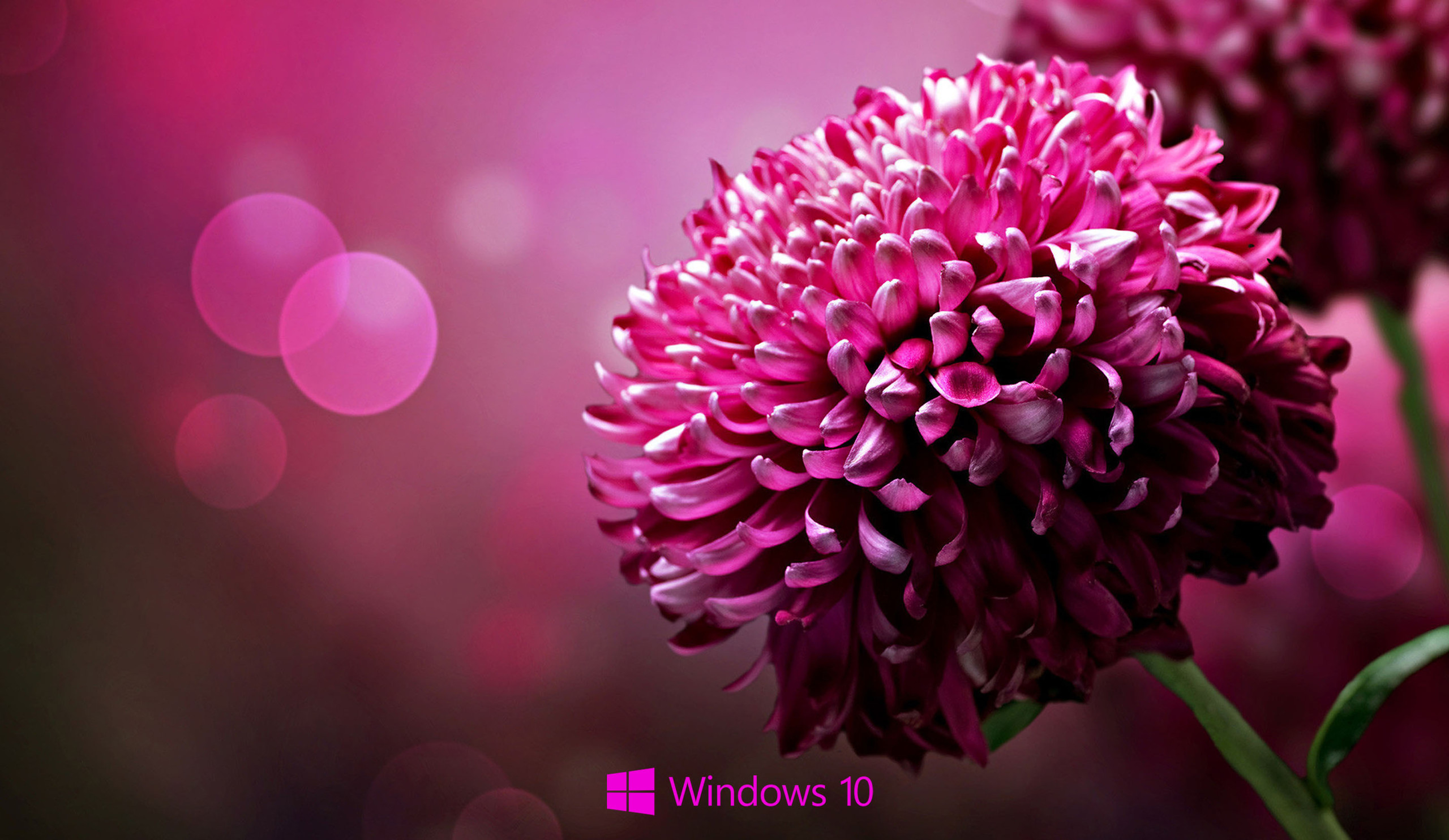 Microsoft her yıl iki önemli Windows 10 güncellemesi yayınlayacak