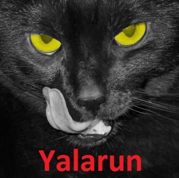  Yeni 'Yalarun' Capsi [Yenileri Geliyor]