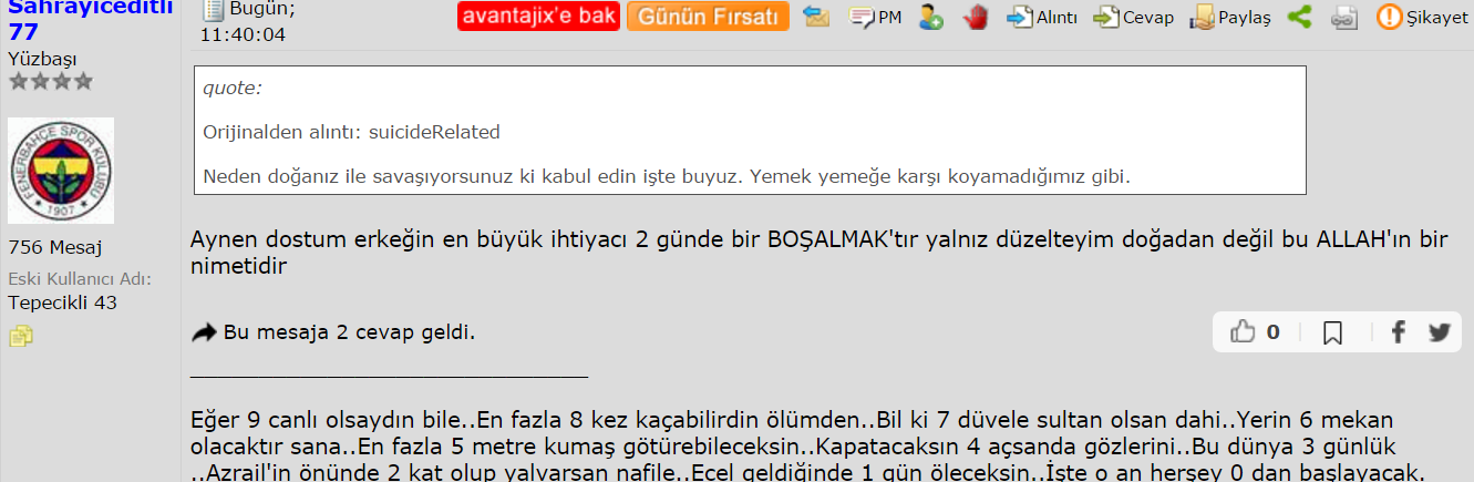 Garavel Usta Cizilmis