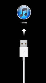  iPhone 3G 8GB iTunes ekranında kaldı - Lütfen yardımmm