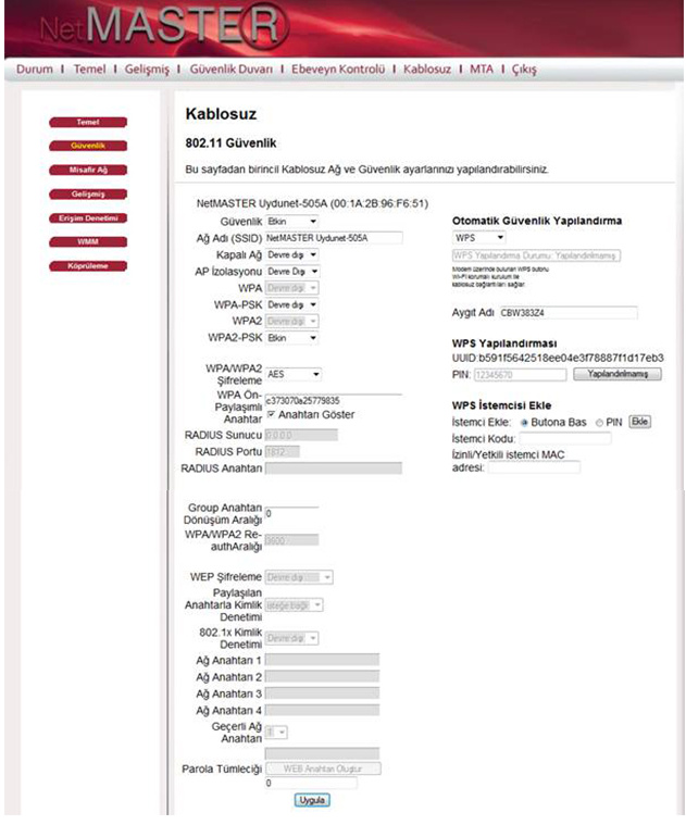 Netmaster WDS-300 Access Point