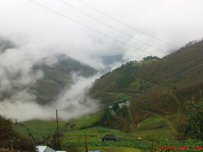  ===>3,2MPLİ k770/K790/K810/C510/P1 FOTOĞRAF PAYLAŞIM ARENASI<===