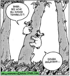  Her şeye üşeniyorum