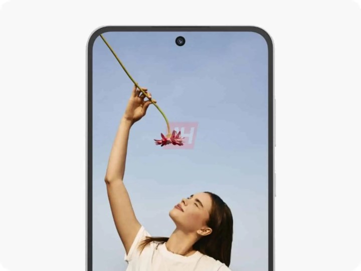 Samsung Galaxy S24 FE’ye ait görseller ve detayları ortaya çıktı