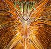  DH Cynic Fan Clup