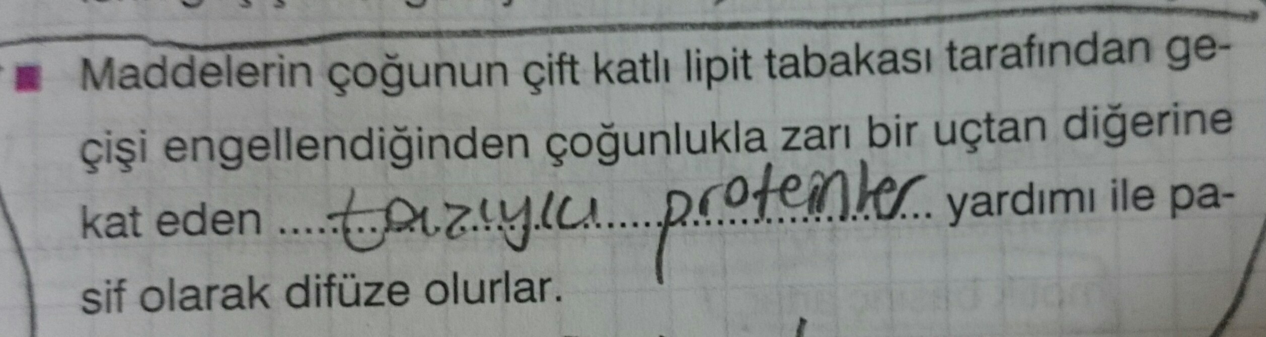 OZMOZ, KOLAYLAŞTIRILMIŞ DİFÜZYON, AKTİF TAŞIMA KRİTİK SORULAR