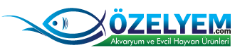  ÖZELYEM Petshop Dünyasının Ankaradaki Yüzü