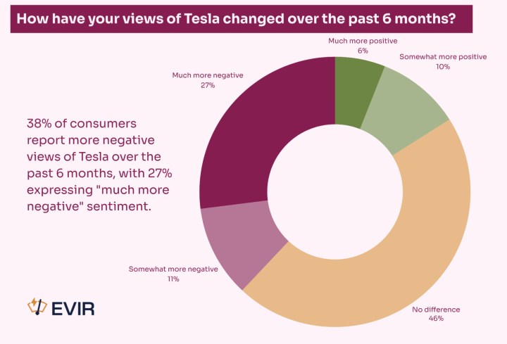 Tesla, olumsuz algıya sahip tek elektrikli araç markası oldu