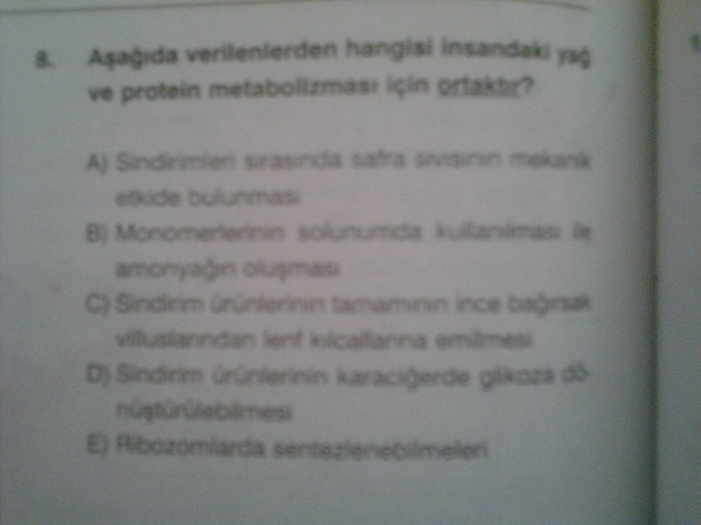  Sindirim Sistemi Soruları