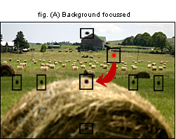  AF (AUTO FOCUS) VE METERİNG KARMAŞASI!!