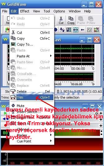  Müzik Klibinden muzigi ayiklamak mümkün mü?