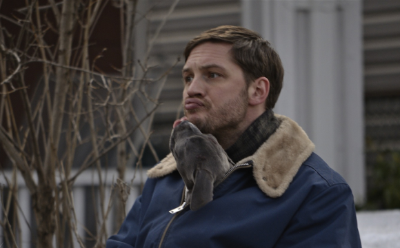  The Drop (2014) | Tom Hardy - Noomi Rapace - James Gandolfini