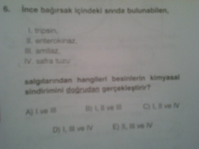  Sindirim Sistemi Soruları