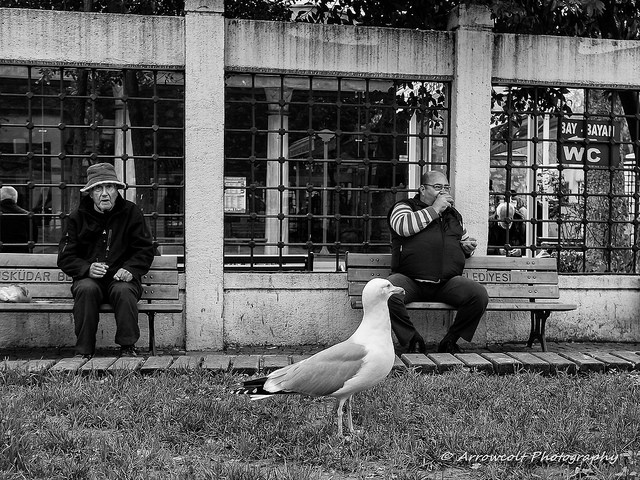  ■■■Sadece SOKAK Fotoğrafları Paylaşım Başlığı■■■