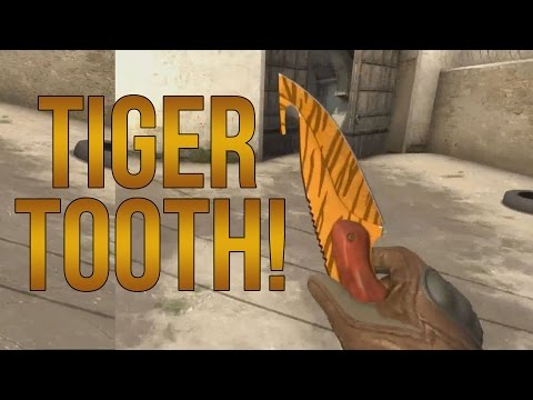  [TAKASLIK] Gut Knife l Tiger Tooth (Factory New)