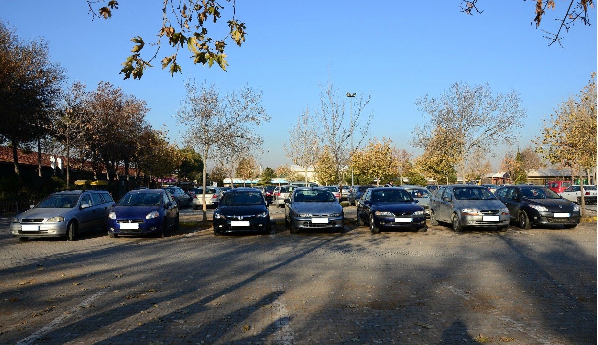  26 Kasım Ankara Tigem Buluşması(Buluşma fotoğrafları ilk mesaja eklendi))