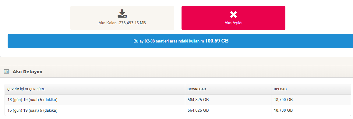 Bu ay kaç gb internet kullandınız?