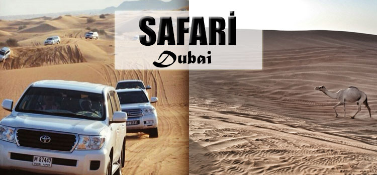  Çölde Safari mi olurmuş? Oluyor işte... SAFARİ / Dubai