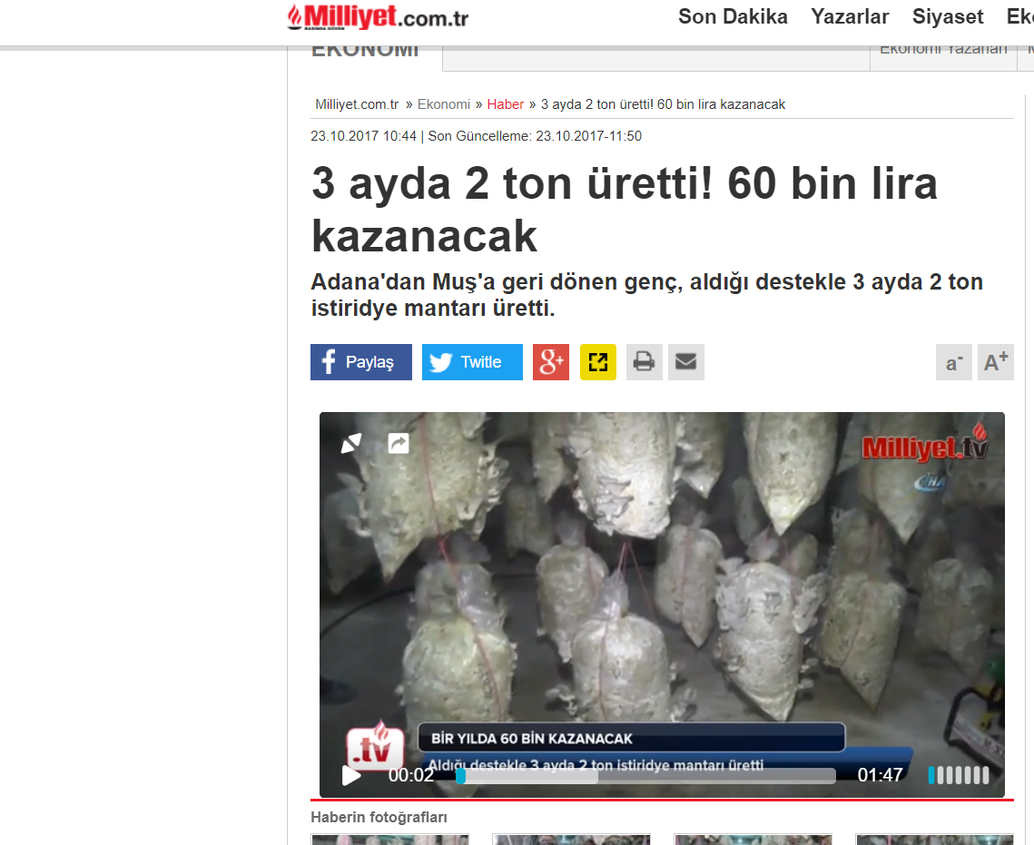 Milliyetin sürekli yaptığı boş haber
