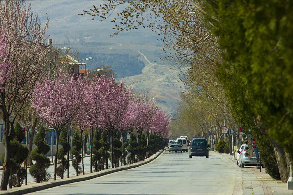  Yüksek zum ile çekilmiş(tele lensler ile) foto paylaşım alanı. İniş serbest (Kule) !..