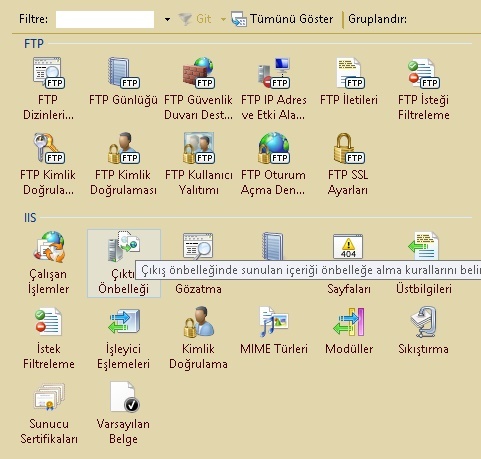  Windows Iss ile ftp sunucu şifreli bağlantı sorunu