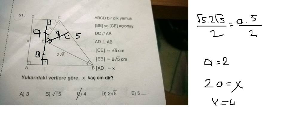  Basit 11. Sınıf Sorularım