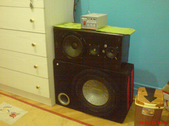  TSW 303F Woofer