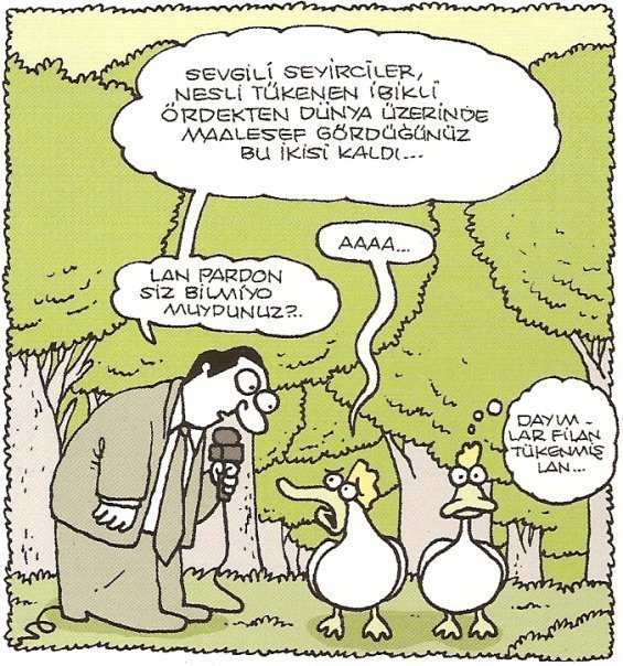  CİVCİVİM ÖLÜYOR YARDIM