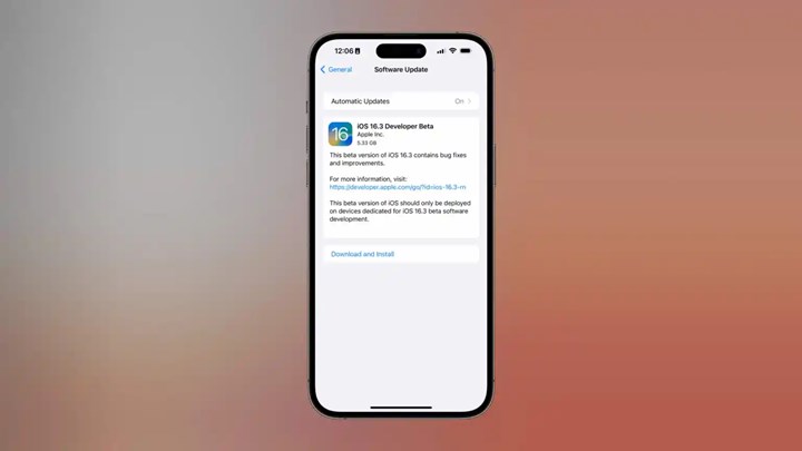 iOS 16.3 beta 1 güncellemesi yayımlandı: Apple'ın önceliği güvenlik
