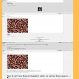  Donanım Haber Bütün SS ler..Efsaneler