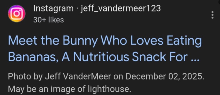 Instagram, kullanıcı gönderilerine SEO odaklı başlıklar eklemeye başladı