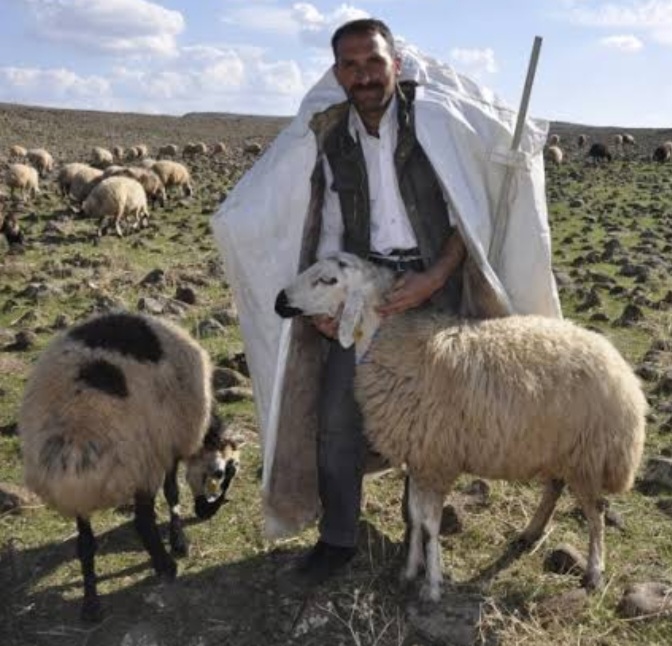 Çobanlık bir peygamber mesleğidir