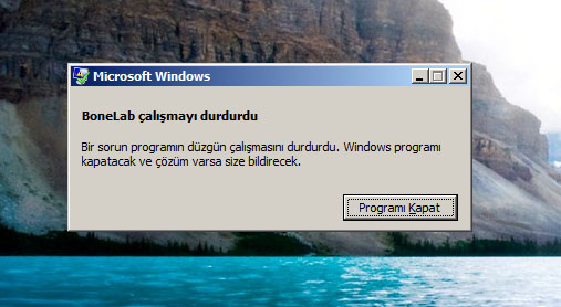  BoneLab - vistada bir türlü çalıştıramadım...