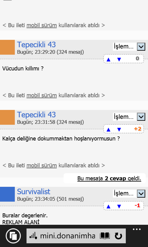 Garavel Usta Cizilmis
