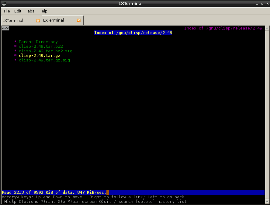 Raspberry Pi yi kullanmak. Lynx tarayıcı, deluged, BIND server vs.