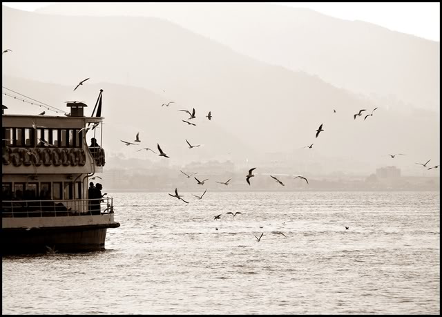  Sokak Fotoğrafçılığı, paylaşım..