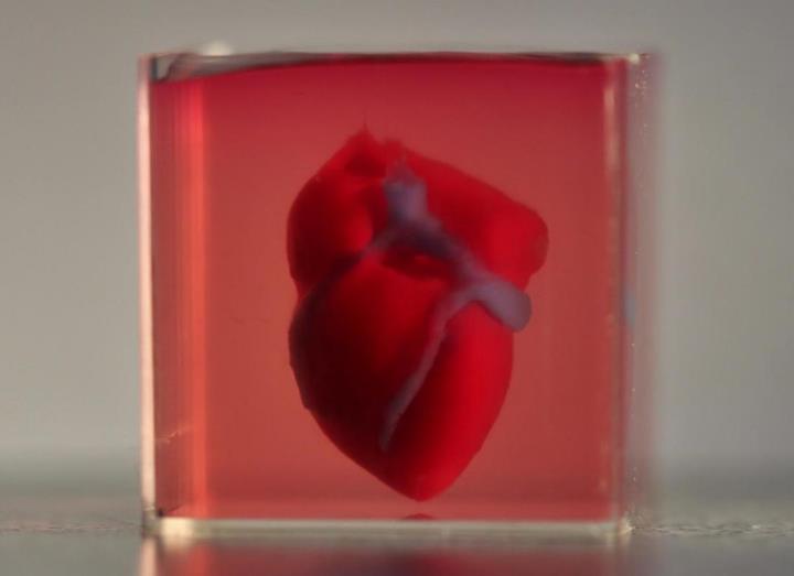 İnsan kalbinin bileşenleri 3D yazıcı ile üretilecek