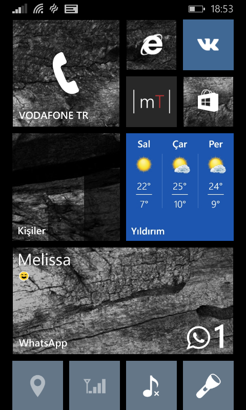  Windows Phone 8.1 Ana Ekranlarınız
