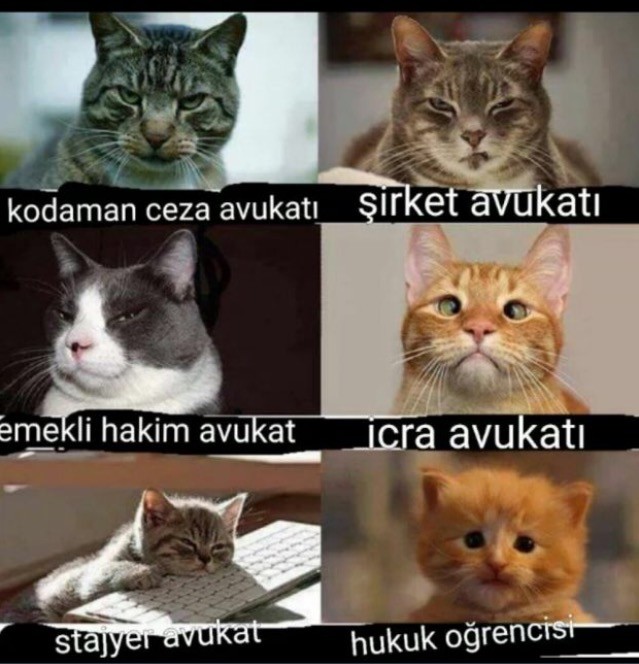 çıldırıyorum😂